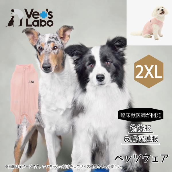 術後服 保護服 犬用 ウェア ベッツウェア 女の子用 ピンク 2XL