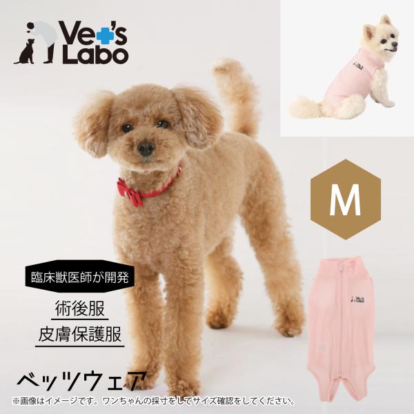 術後服 保護服 犬用 ウェア ベッツウェア 女の子用 ピンク M