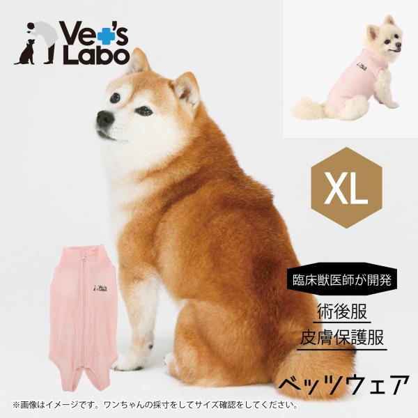 術後服 保護服 犬用 ウェア ベッツウェア 女の子用 ピンク XL