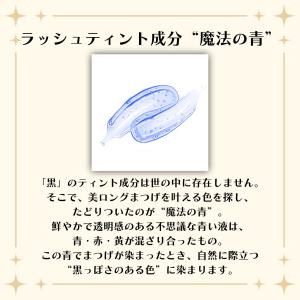 マジョリカマジョルカ 資生堂 ティントマスカラ...の詳細画像2