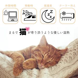にゃんこの温もり カイロ 温活 首 腰 足 3...の詳細画像2