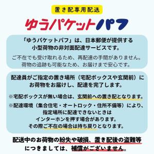 プロ・業務用 UVスプレー 超氷冷 90g S...の詳細画像4