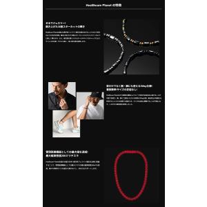 BANDEL Healthcare Plane...の詳細画像3
