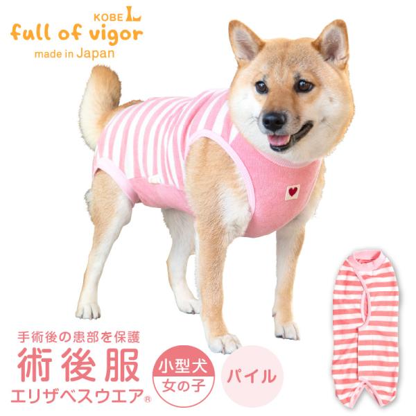 エリザベスカラー の代わりに 獣医師 去勢 避妊 手術 【送料込】 中型犬用 パイル ボーダー 術後...