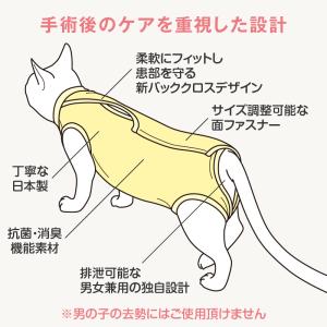 エリザベスカラー の代わりに 獣医師 去勢 避...の詳細画像5