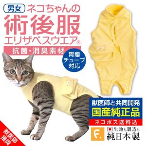 犬猫術後服エリザベスウエア専門店 犬 猫用術後服エリザベスウエア R 術後服 皮膚保護服エリザベスウエア R Yahoo ショッピング