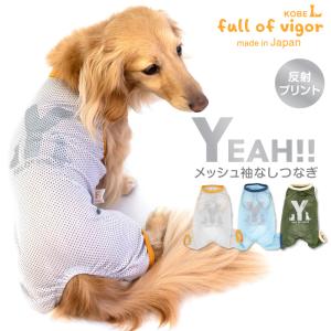 ダイエティクス 犬用 アレルゲンセレクトカット 3kg 2個セット 食物