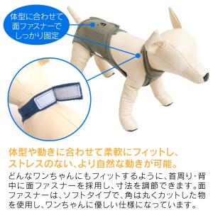 ズレない 脱げない 漏れない 介護 マナーパン...の詳細画像4