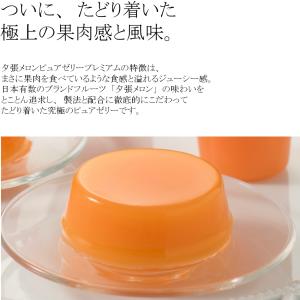 ホリ 夕張メロンピュアゼリープレミアム12個の詳細画像2