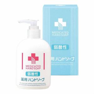 【弱酸性薬用ハンドソープ】２５０ｍｌ　（NO.７６２）｜ellega