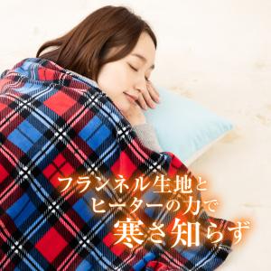 電気ひざ掛け 冬 電気毛布 毛布 電熱 ひざ掛...の詳細画像2