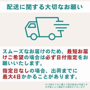 電熱ベスト 単品 レディース メンズ アウター...の詳細画像1