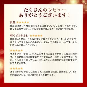 毛布 極温 シングル 暖かい 秋 冬 ブランケ...の詳細画像3