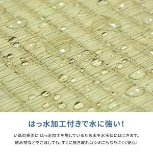 い草 上敷き カーペット 夏 フリーカット 撥...の詳細画像5