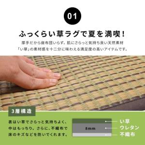 カーペット ラグ い草 3畳 裏貼り 厚手 ウ...の詳細画像2