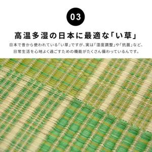 カーペット ラグ い草 3畳 裏貼り 厚手 ウ...の詳細画像4