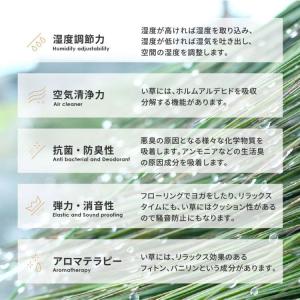 カーペット ラグ い草 3畳 裏貼り 厚手 ウ...の詳細画像5