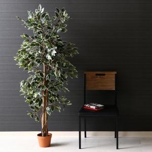 鉢植え 木 屋外の商品一覧 通販 Yahoo ショッピング