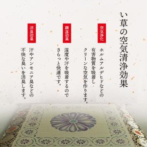 座布団 い草 日本製 法事 お坊さん 坊さん ...の詳細画像5