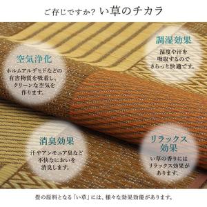 い草ラグ 8畳 本間 い草 カーペット 国産 ...の詳細画像5