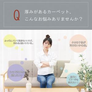 ラグ カバー こたつ敷き布団 長方形 撥水 洗...の詳細画像2