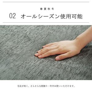 ラグ カバー こたつ敷き布団 長方形 撥水 洗...の詳細画像5