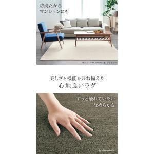 ラグ カーペット 冬用 6畳 防ダニ 日本製 ...の詳細画像2