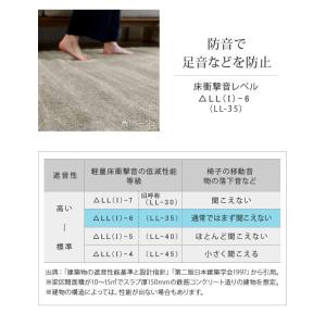 ラグ カーペット 冬用 6畳 防ダニ 日本製 ...の詳細画像3