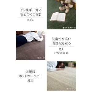 ラグ カーペット 冬用 6畳 防ダニ 日本製 ...の詳細画像4