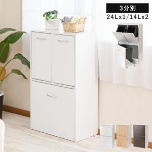 ごみ箱 45l 分別 2段 ごみ箱隠す収納 ゴミ箱 隠す収納 おしゃれ 45