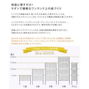 フェンス 屋外 アイアン アイアンフェンス ガ...の詳細画像2