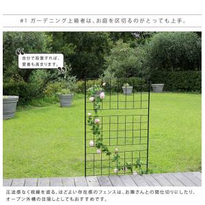 フェンス 屋外 アイアン アイアンフェンス ガ...の詳細画像3