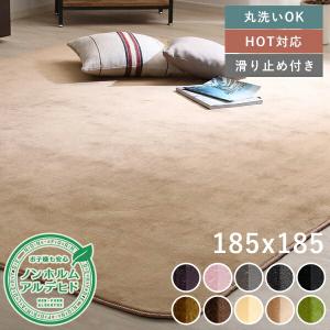 昭和西川 極厚 フランネル ラグ 200x270 75501 ふかふか やわらか 秋