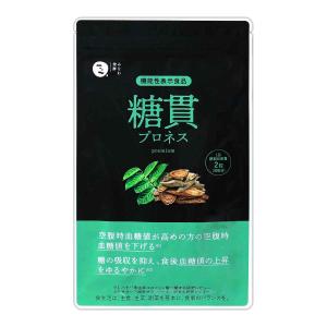 パクパク酵母くん 31袋入り 毎日元気 研究所 毎日笑顔 : ダイエット