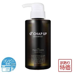 チャップアップ（CHAP UP） シャンプー 02 詰め替え用(つめかえ) 300ml