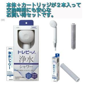 セット販売 東レ トレビーノ トレシャワーRS53 ＋ 交換カートリッジ RSC51