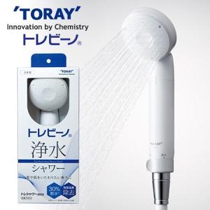 東レ トレビーノ トレシャワーRS53 RS53