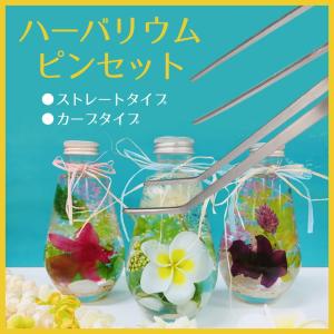 ピンセット ハーバリウム 水槽 水草 ロング ステンレス