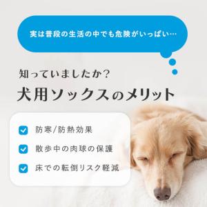 犬用ソックス 4足セット 4足 犬 ソックス ...の詳細画像2