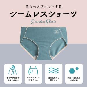 シームレスショーツ 綿 コットン ショーツ シ...の詳細画像2