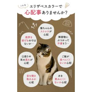 【着たままトイレできる】 猫 服 術後服 介護...の詳細画像1