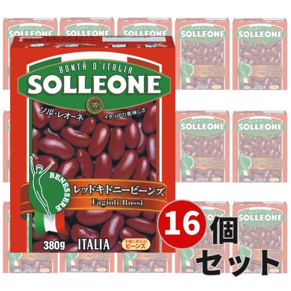 【16箱セット】ソル・レオーネ レッドキドニービーンズ(380g) 1925108【まとめ買い】