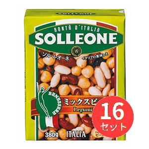 【16個セット】ソル・レオーネ ミックスビーンズ (テトラパック) 日欧商事 1925109【まとめ...