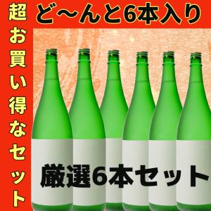 飲みくらべセット 銘柄おまかせ ６本セット 1800ml 　レビュー投稿で！！