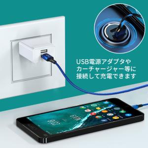 タイプC ケーブル 2m USB Type-C...の詳細画像3