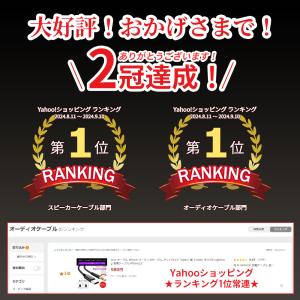 AUX ケーブル iPhone オーディオケー...の詳細画像1