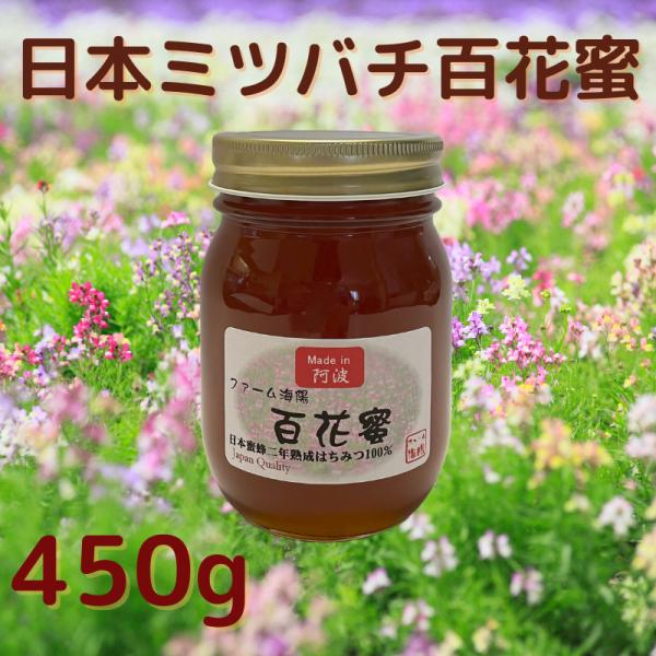 日本ミツバチの蜂蜜 450g 国産 純粋 はちみつ 幻の蜂蜜 百花蜜 非加熱 無添加 生 四国徳島県...