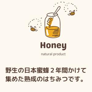 日本ミツバチの蜂蜜 450g 国産 純粋 はち...の詳細画像2