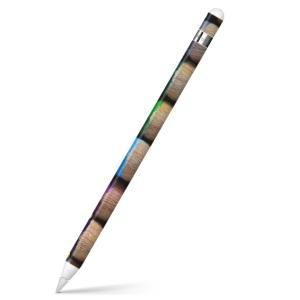 Apple Pencil 専用スキンシール アップルペンシル iPad Pro ApplePen カバー フィルム ステッカー 保護  色鉛筆　カラフル 001080｜emart