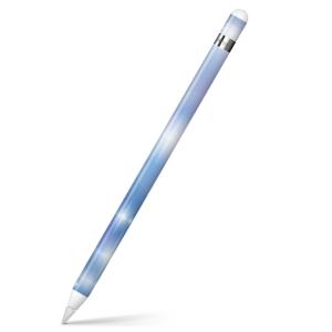 Apple Pencil 第2世代 専用スキンシール アップル アップルペンシル